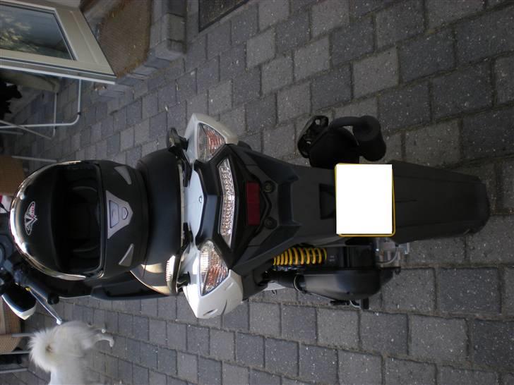 Sym Jet sport x sr Factory billede 5