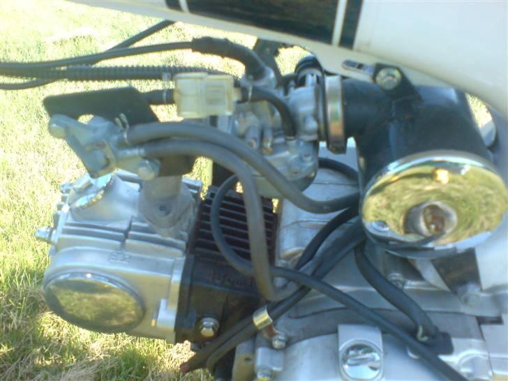 Skyteam "Honda" Dax [TIL SALG!] - Standard 49cc Motor billede 5