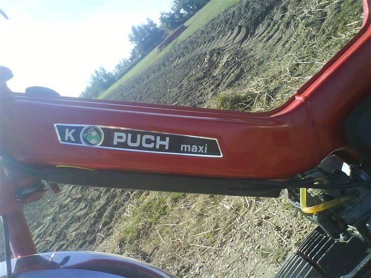 Puch maxi k billede 4