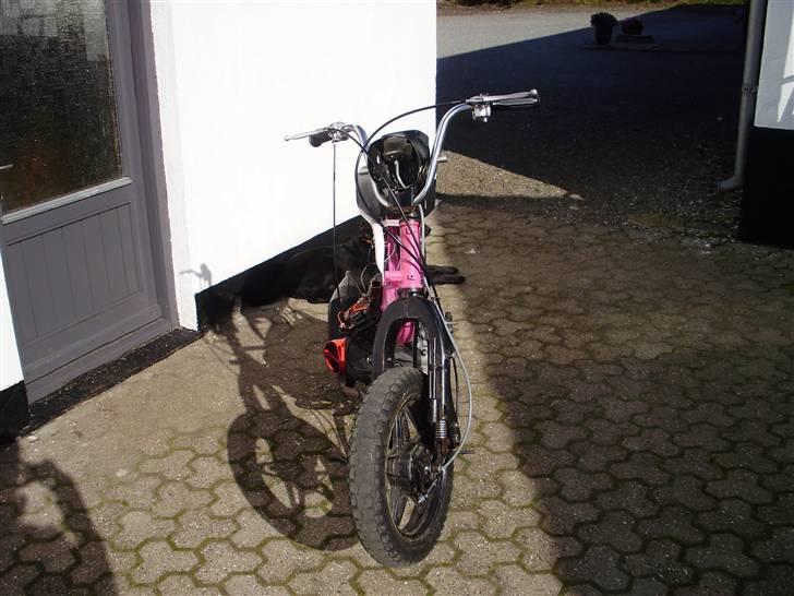 Suzuki FZ 50/ 491 Byttet - som den står nu billede 11