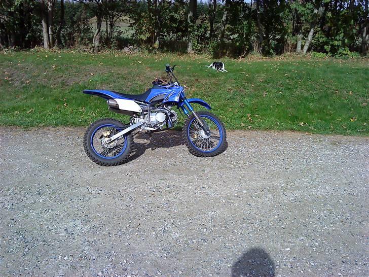 MiniBike honda 125cc kina crosser billede 11