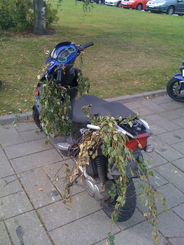 PGO Dr. Big TILSALG billede 11