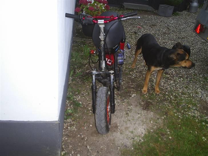 Aprilia Sonic MHR(byttet rally) billede 6