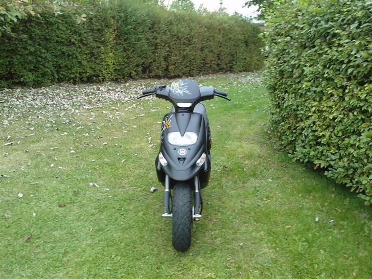 Gilera Stalker billede 5