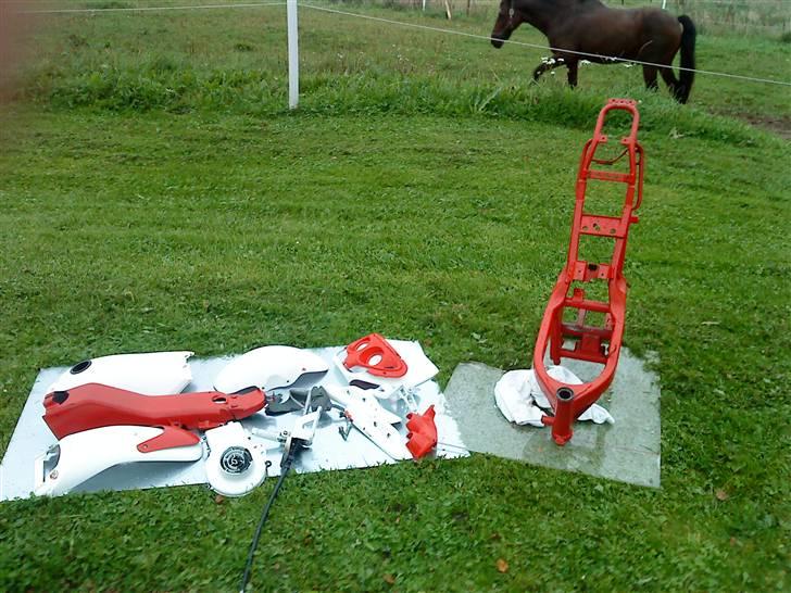 Suzuki Street Magic - Gamle farve billede 11