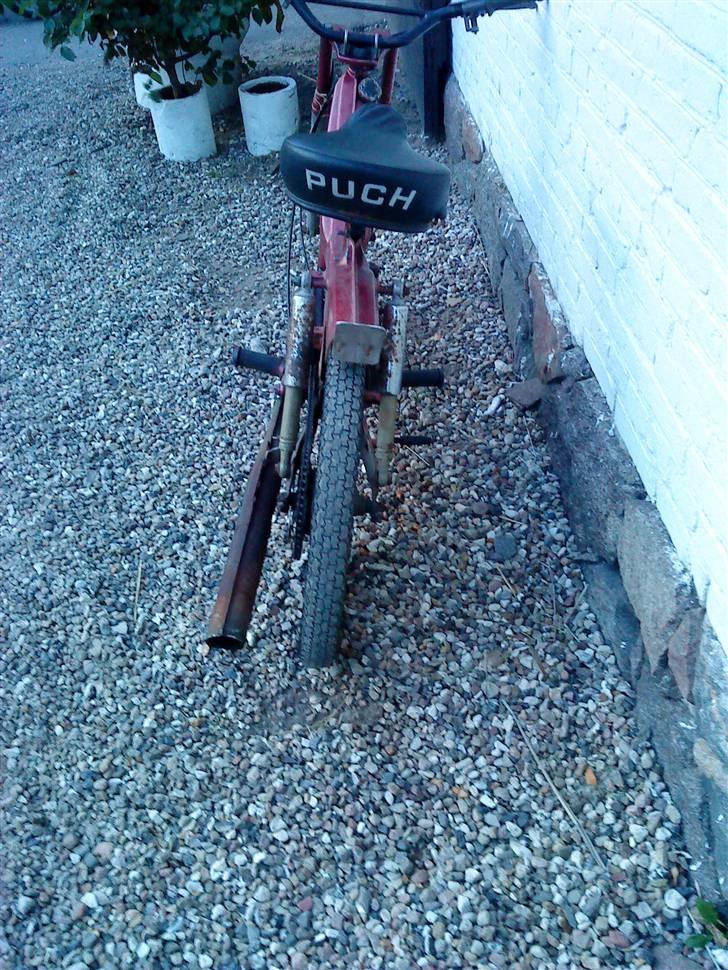 Puch Maxi Kl byttet billede 3