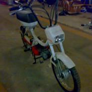 Puch Mini Maxi