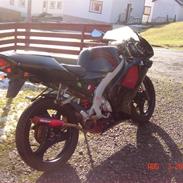 Aprilia RS 50