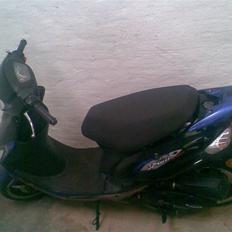 Giantco Sprint Sport (Olga)