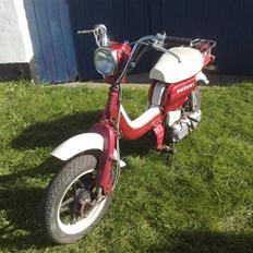 Suzuki FZ 50 l Solgt l