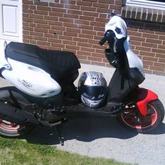 PGO PMX Sport No Fear