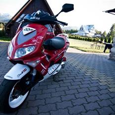 Peugeot speedfight LC 206 WRC