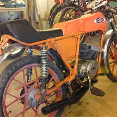 Veteraner Gitane Testi Silhoutte