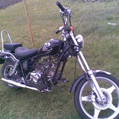 Regal raptor >solgt<