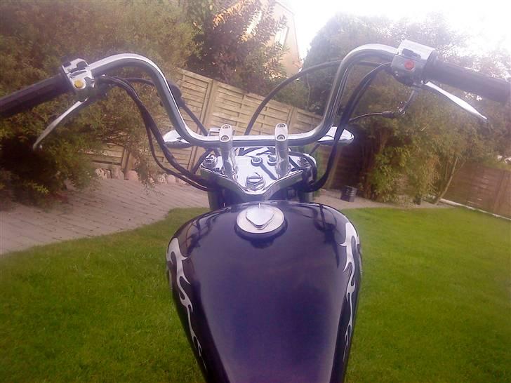 Regal raptor  ( SOLGT )  billede 10