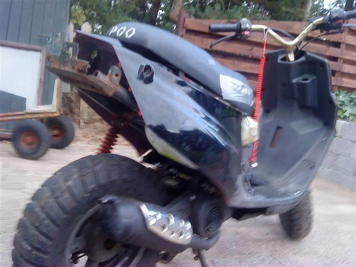 PGO hot50/rally  (Adskildt) billede 4