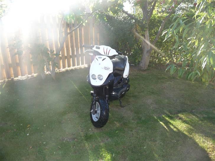 PGO PMX No Fear billede 1