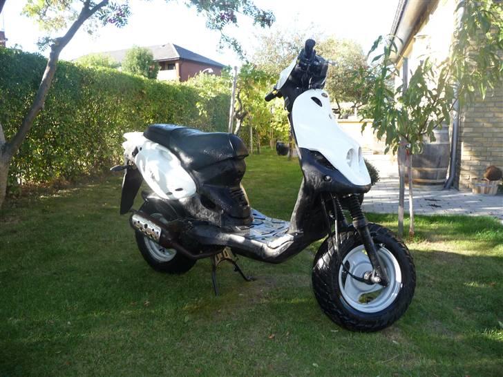 PGO PMX No Fear billede 5