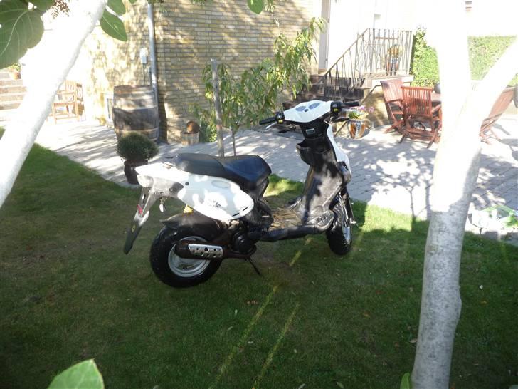 PGO PMX No Fear billede 6