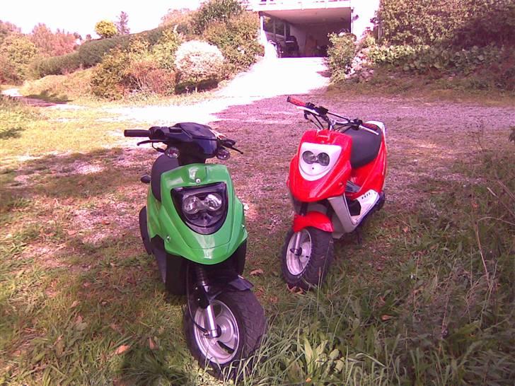 PGO Hot 50 billede 4