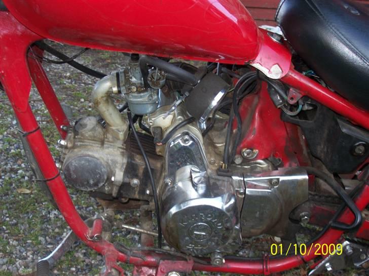 Kinroad prince solgt billede 5