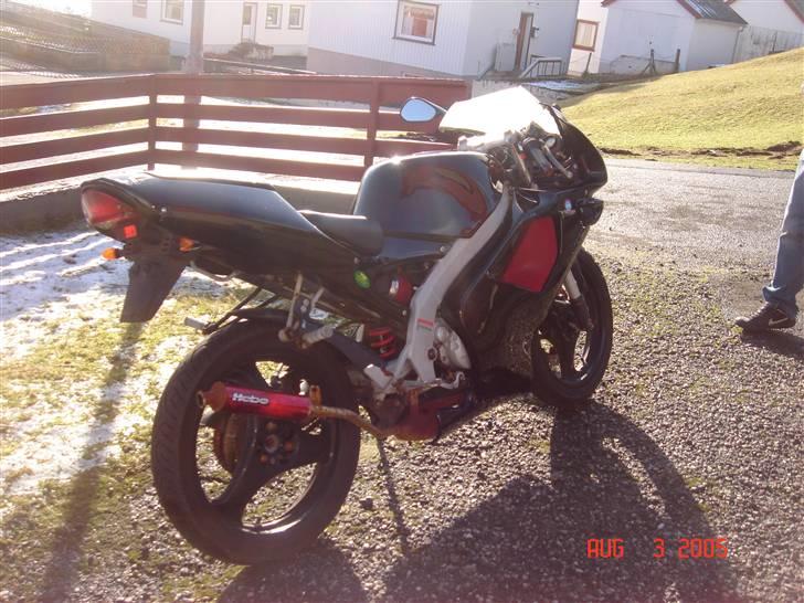 Aprilia RS 50 billede 2