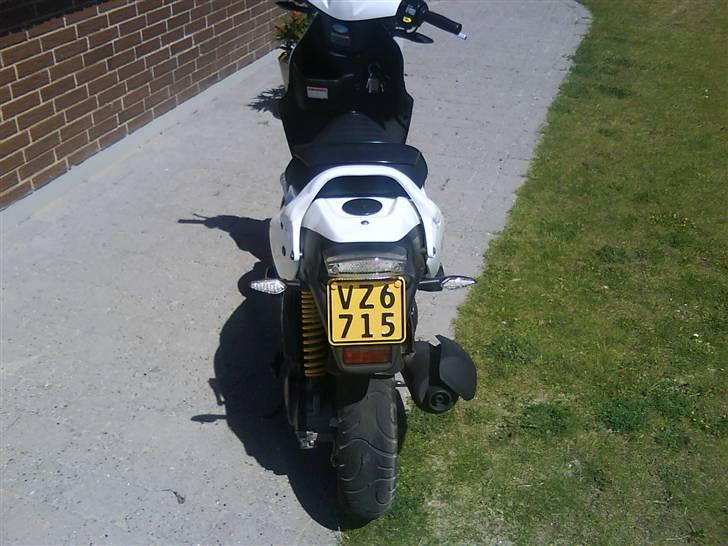 PGO PMX Sport No Fear billede 2