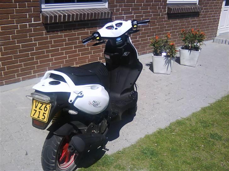 PGO PMX Sport No Fear billede 8