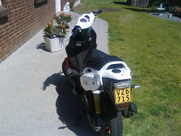 PGO PMX Sport No Fear billede 9