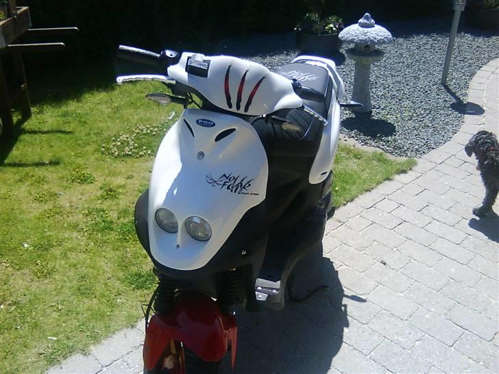 PGO PMX Sport No Fear billede 10