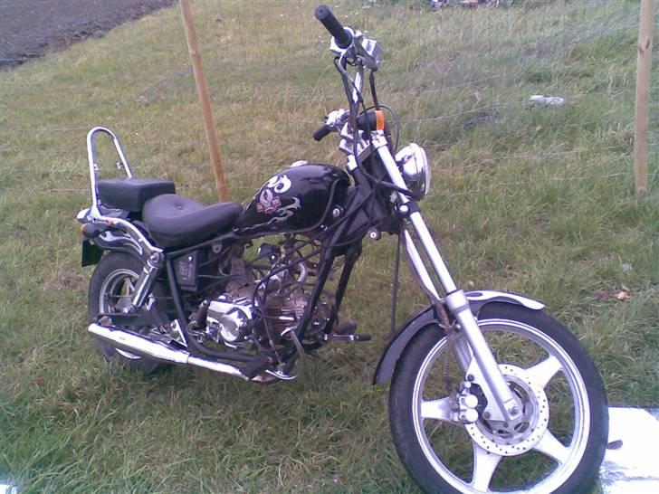 Regal raptor >solgt< billede 1