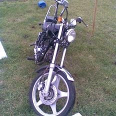 Regal raptor >solgt<