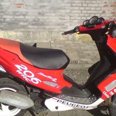 Peugeot speedfight 2 206 WRC