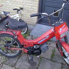 Tomos givet den væk til min bro