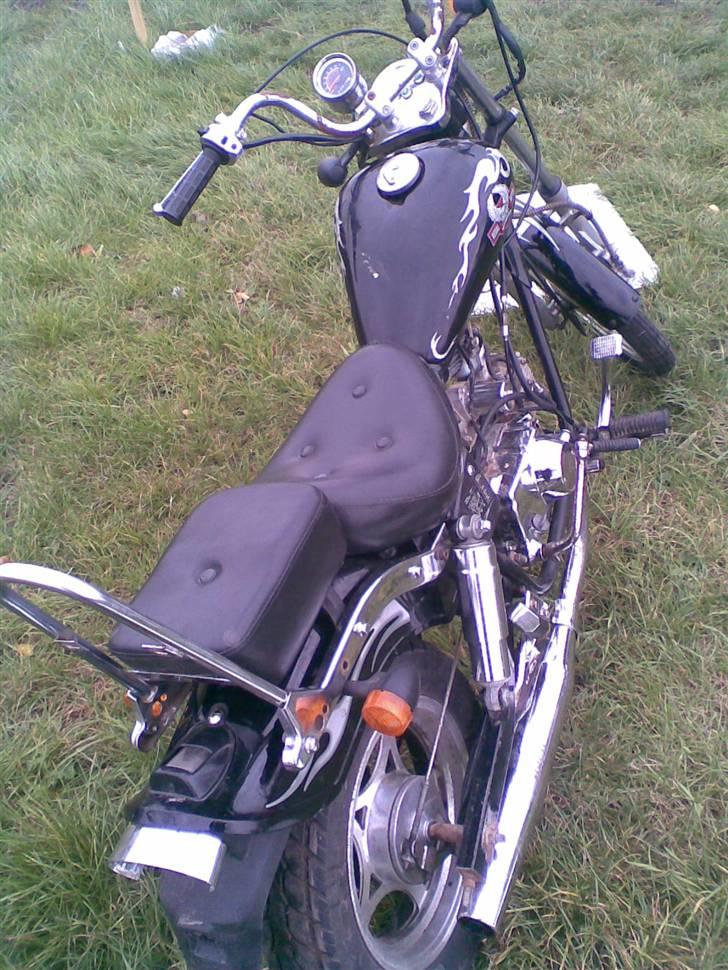 Regal raptor >solgt< billede 6