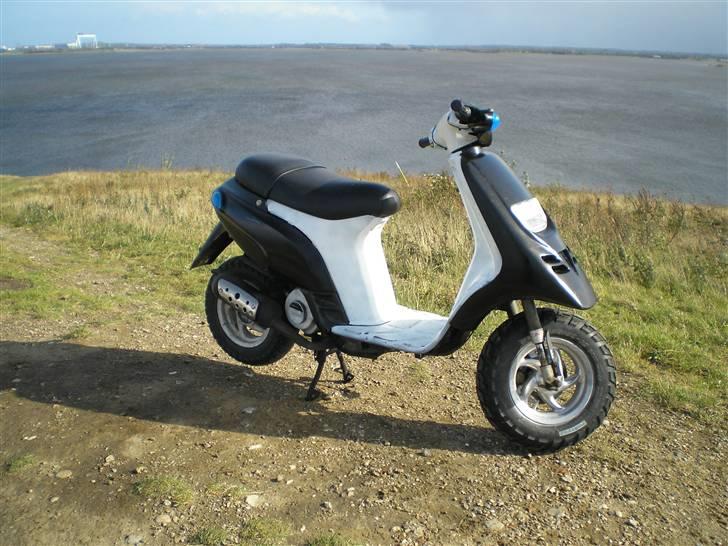 Piaggio Typhoon "SOLGT" billede 2