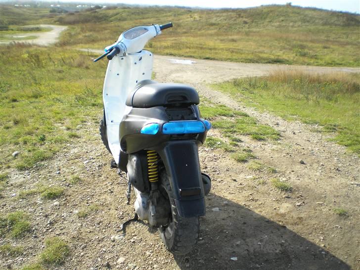 Piaggio Typhoon "SOLGT" billede 3