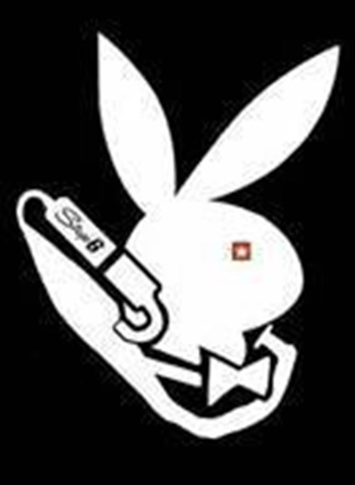 Suzuki street byttet til rmx billede 9