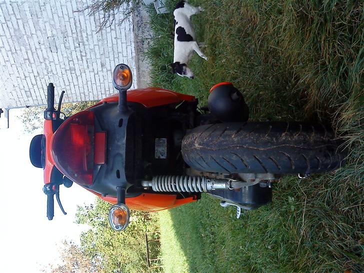 CPI  popcorn*byttet* billede 11