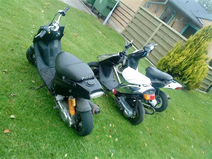 PGO hot 50  byttet billede 8