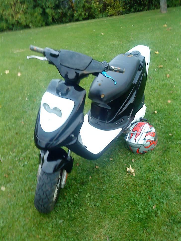 PGO hot 50 billede 1