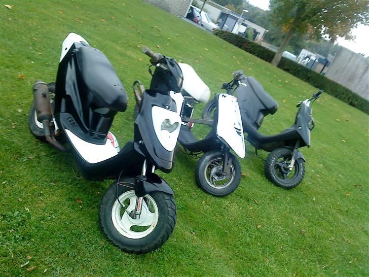 PGO hot 50 billede 4