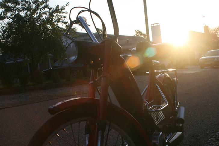 Puch Maxi K billede 9