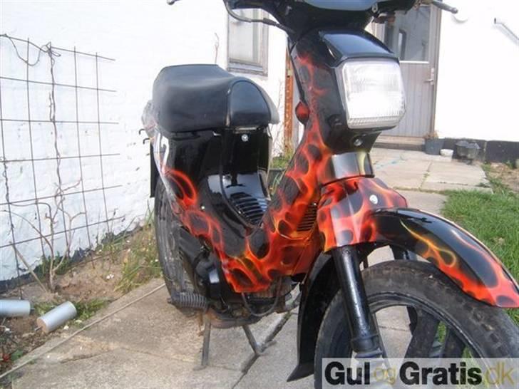 Honda Wallaroo den gamle model billede 2