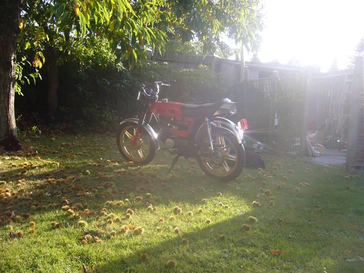 Puch Grand Prix (til salg) billede 10