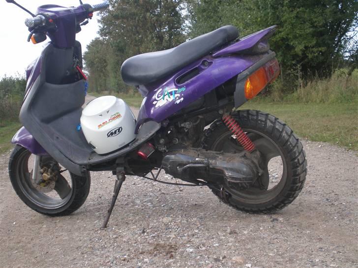 Adly Cat50  billede 1