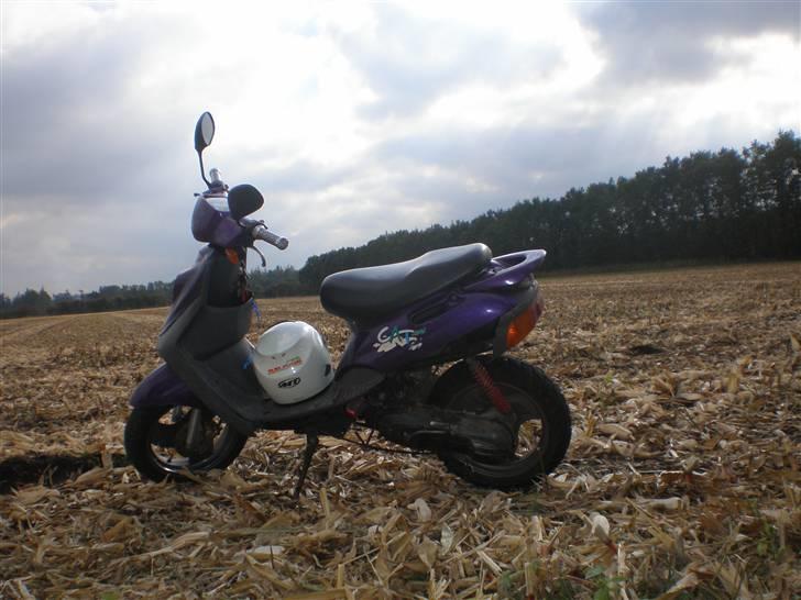 Adly Cat50  billede 5