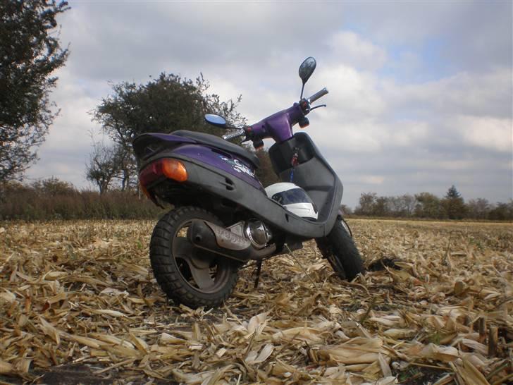 Adly Cat50  billede 6