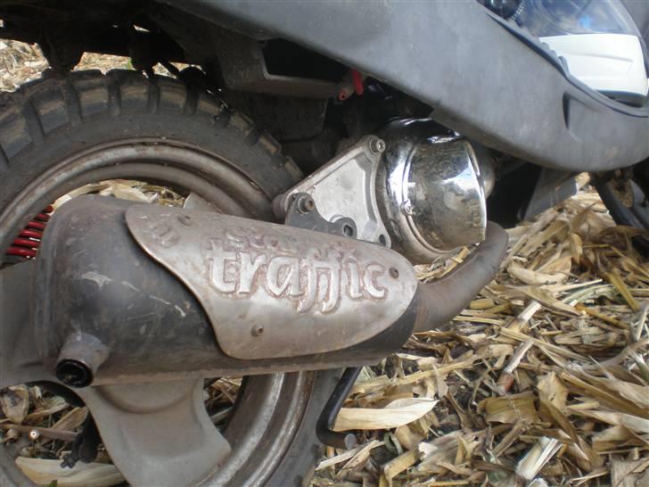 Adly Cat50  billede 7