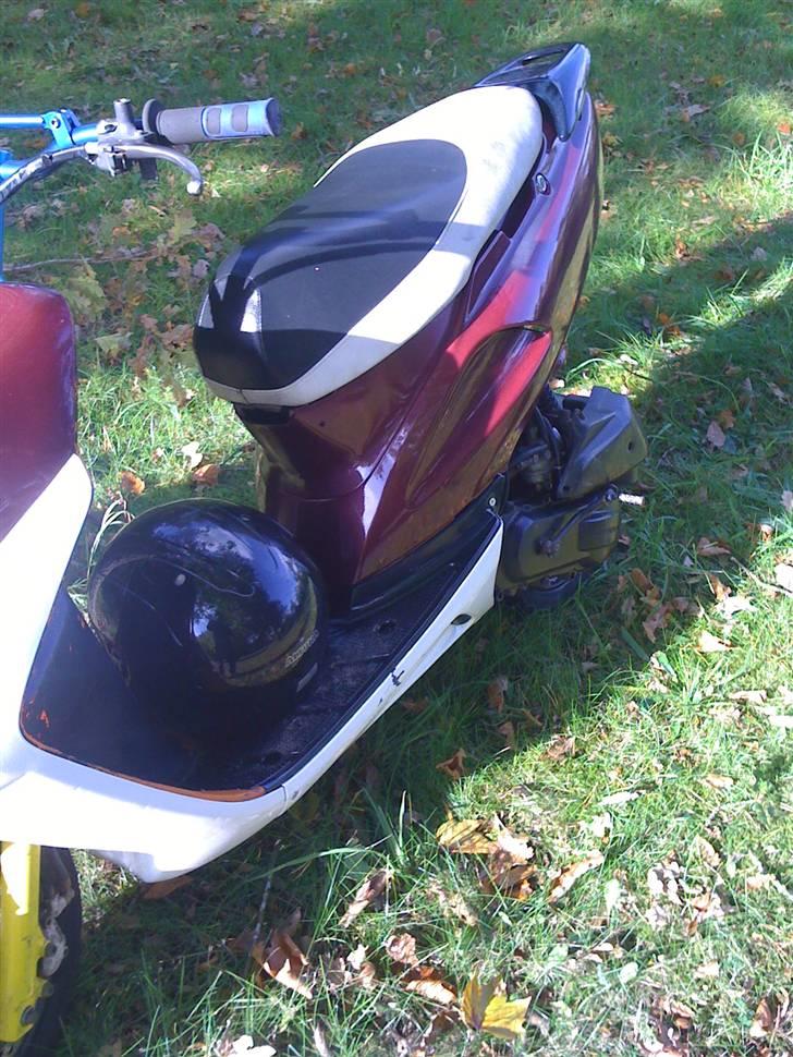 Honda SFX(SLOGT) billede 2